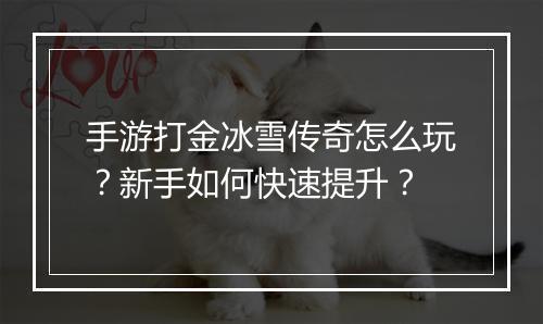 手游打金冰雪传奇怎么玩？新手如何快速提升？