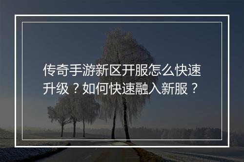 传奇手游新区开服怎么快速升级？如何快速融入新服？