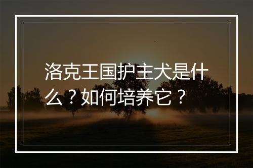 洛克王国护主犬是什么？如何培养它？