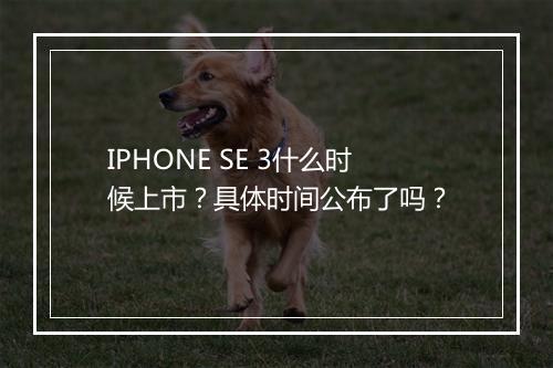 IPHONE SE 3什么时候上市？具体时间公布了吗？