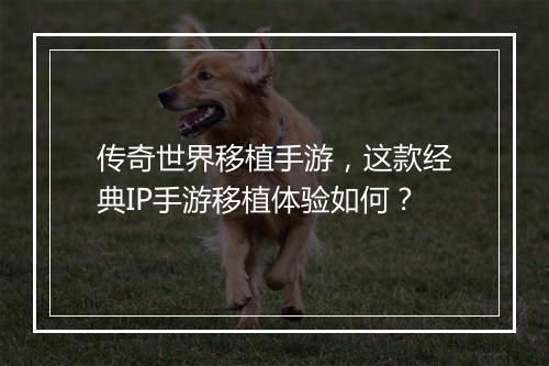 传奇世界移植手游，这款经典IP手游移植体验如何？