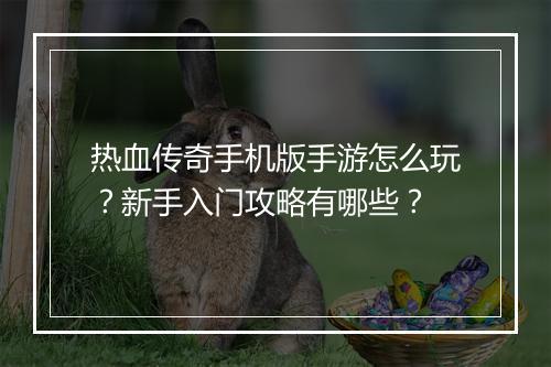 热血传奇手机版手游怎么玩？新手入门攻略有哪些？
