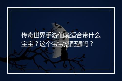 传奇世界手游仙境适合带什么宝宝？这个宝宝搭配强吗？