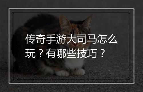 传奇手游大司马怎么玩？有哪些技巧？