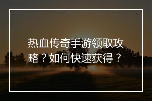 热血传奇手游领取攻略？如何快速获得？