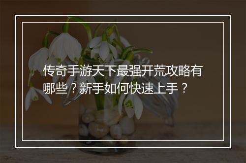 传奇手游天下最强开荒攻略有哪些？新手如何快速上手？