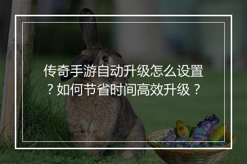 传奇手游自动升级怎么设置？如何节省时间高效升级？