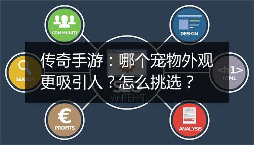 传奇手游：哪个宠物外观更吸引人？怎么挑选？