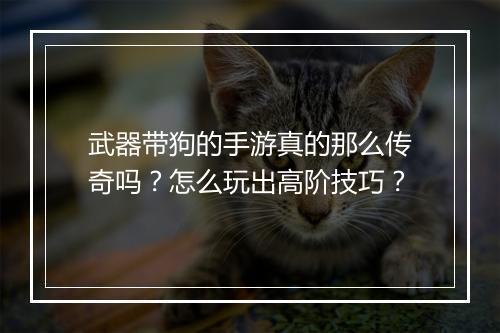 武器带狗的手游真的那么传奇吗？怎么玩出高阶技巧？