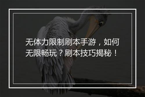 无体力限制刷本手游，如何无限畅玩？刷本技巧揭秘！
