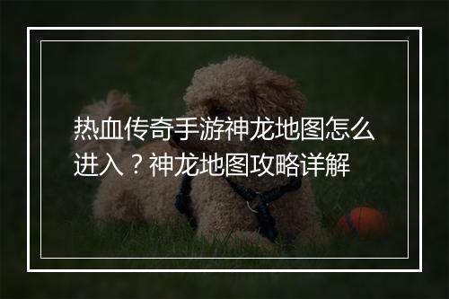 热血传奇手游神龙地图怎么进入？神龙地图攻略详解