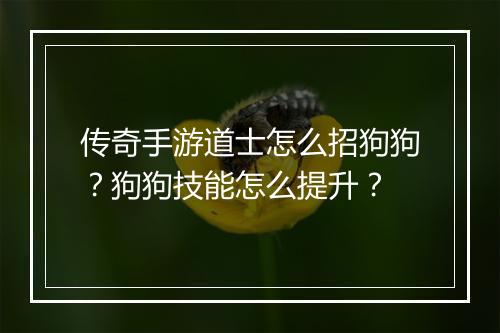 传奇手游道士怎么招狗狗？狗狗技能怎么提升？