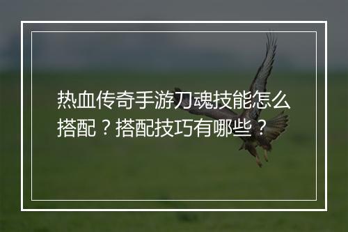热血传奇手游刀魂技能怎么搭配？搭配技巧有哪些？