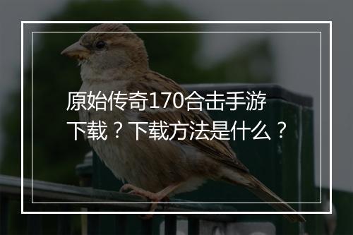 原始传奇170合击手游下载？下载方法是什么？