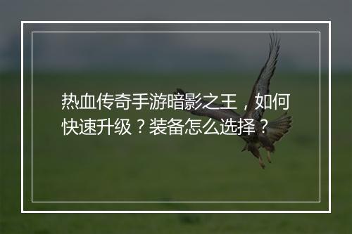 热血传奇手游暗影之王，如何快速升级？装备怎么选择？