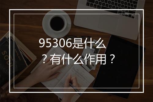 95306是什么？有什么作用？