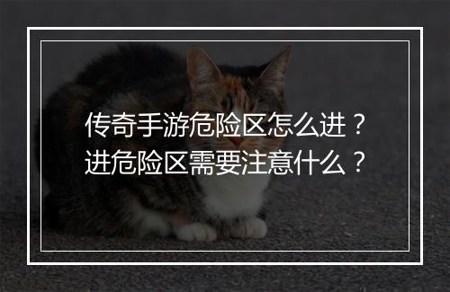 传奇手游危险区怎么进？进危险区需要注意什么？