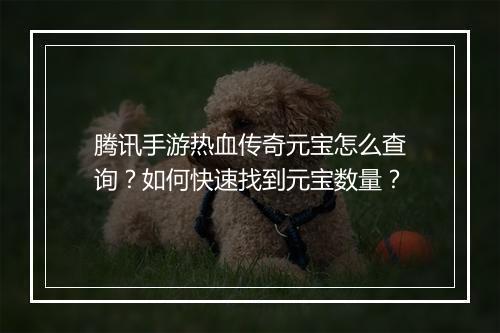 腾讯手游热血传奇元宝怎么查询？如何快速找到元宝数量？