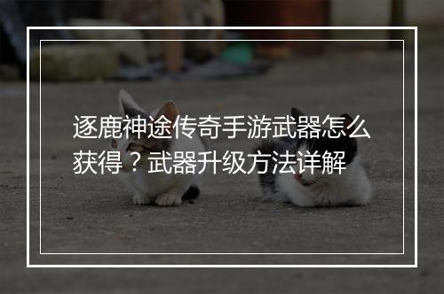 逐鹿神途传奇手游武器怎么获得？武器升级方法详解