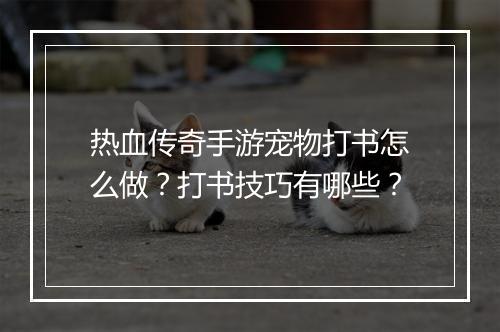 热血传奇手游宠物打书怎么做？打书技巧有哪些？