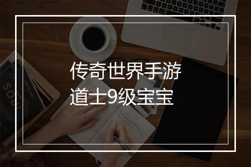 传奇世界手游道士9级宝宝