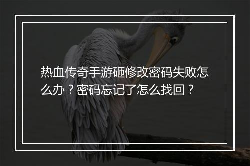 热血传奇手游砸修改密码失败怎么办？密码忘记了怎么找回？