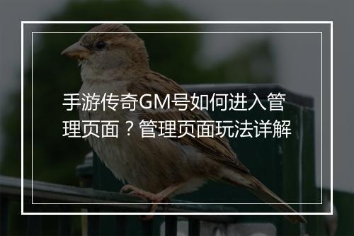 手游传奇GM号如何进入管理页面？管理页面玩法详解