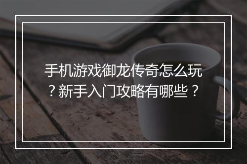 手机游戏御龙传奇怎么玩？新手入门攻略有哪些？