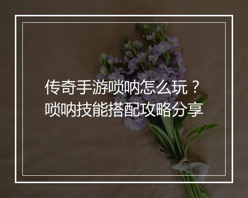 传奇手游唢呐怎么玩？唢呐技能搭配攻略分享