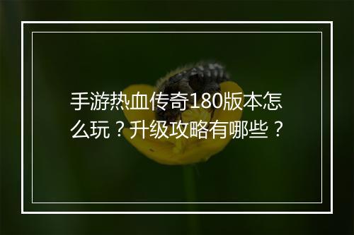 手游热血传奇180版本怎么玩？升级攻略有哪些？
