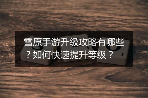 雪原手游升级攻略有哪些？如何快速提升等级？