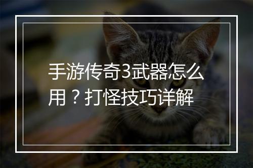 手游传奇3武器怎么用？打怪技巧详解