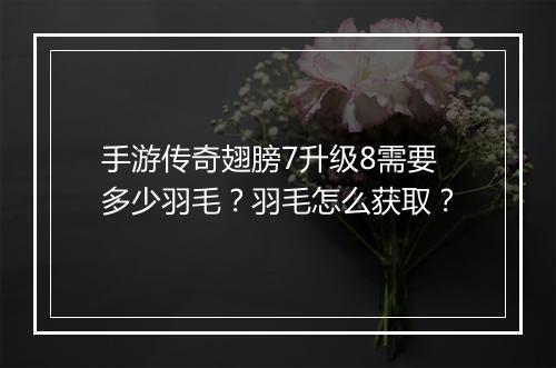手游传奇翅膀7升级8需要多少羽毛？羽毛怎么获取？