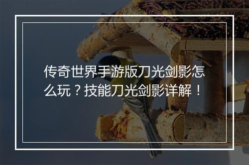 传奇世界手游版刀光剑影怎么玩？技能刀光剑影详解！