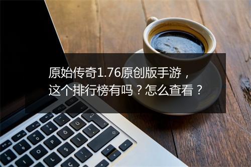 原始传奇1.76原创版手游，这个排行榜有吗？怎么查看？