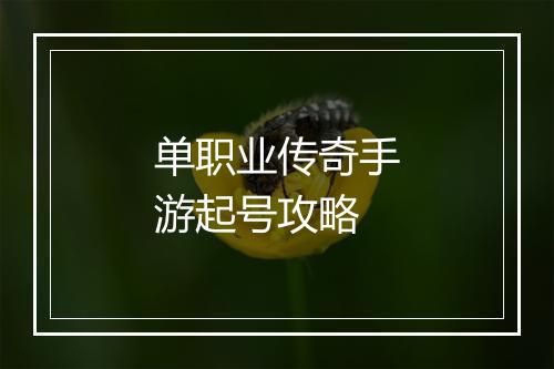 单职业传奇手游起号攻略