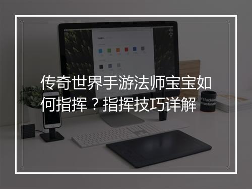 传奇世界手游法师宝宝如何指挥？指挥技巧详解