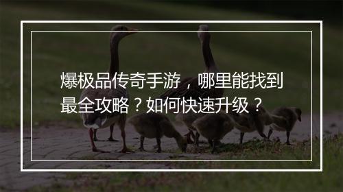 爆极品传奇手游，哪里能找到最全攻略？如何快速升级？