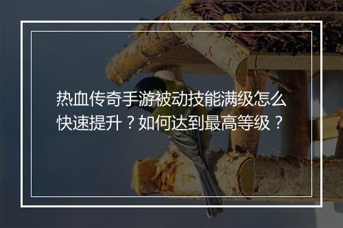 热血传奇手游被动技能满级怎么快速提升？如何达到最高等级？