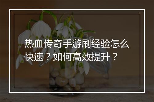 热血传奇手游刷经验怎么快速？如何高效提升？