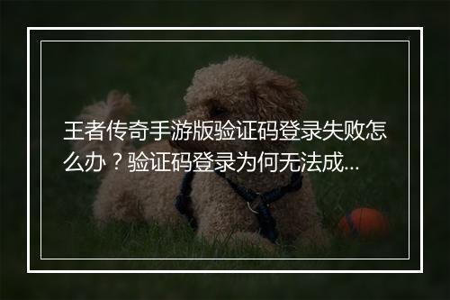 王者传奇手游版验证码登录失败怎么办？验证码登录为何无法成功？