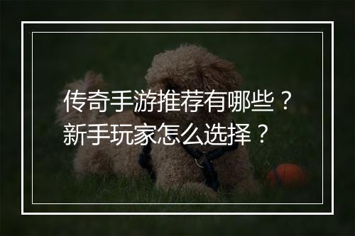 传奇手游推荐有哪些？新手玩家怎么选择？