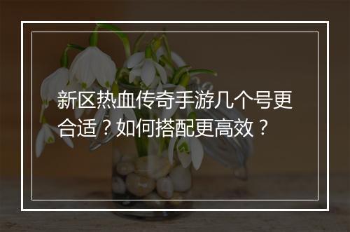 新区热血传奇手游几个号更合适？如何搭配更高效？