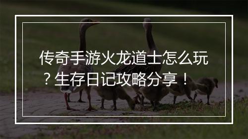 传奇手游火龙道士怎么玩？生存日记攻略分享！