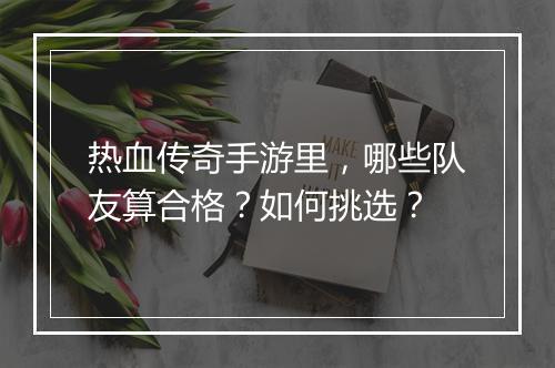 热血传奇手游里，哪些队友算合格？如何挑选？