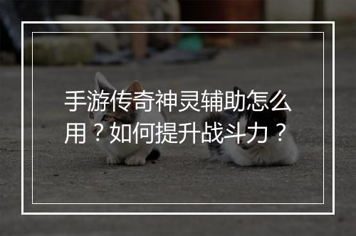 手游传奇神灵辅助怎么用？如何提升战斗力？