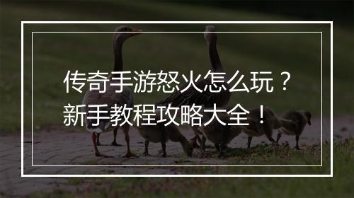传奇手游怒火怎么玩？新手教程攻略大全！