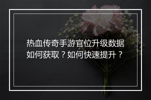 热血传奇手游官位升级数据如何获取？如何快速提升？