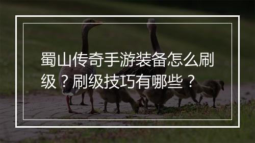 蜀山传奇手游装备怎么刷级？刷级技巧有哪些？