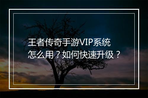 王者传奇手游VIP系统怎么用？如何快速升级？
